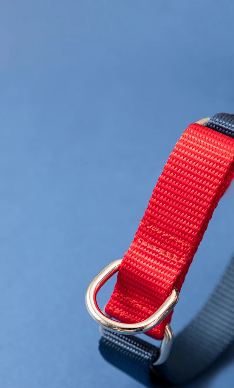 Adjustable Military Training Nylon Dog Collar