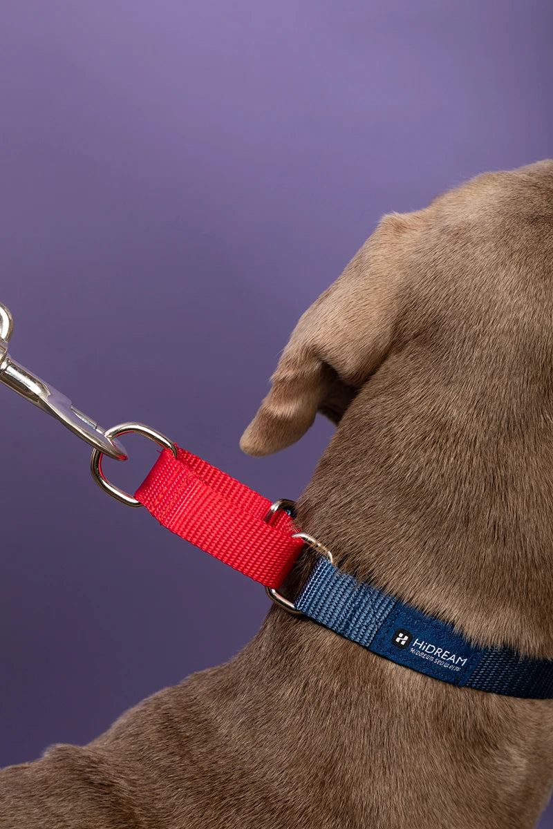 Adjustable Military Training Nylon Dog Collar