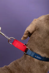 Adjustable Military Training Nylon Dog Collar