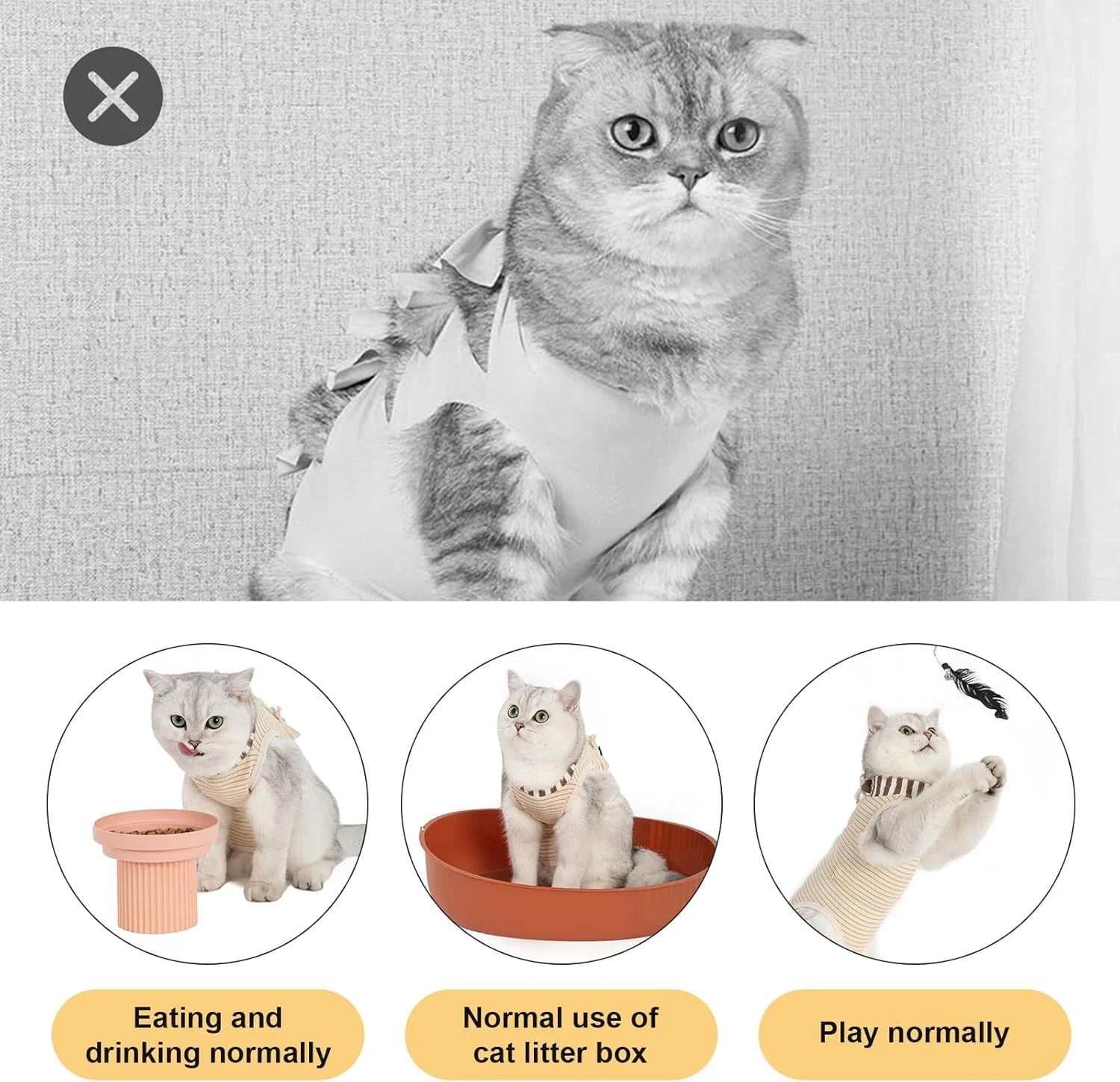 Cat Clothes Recovery Suit #6