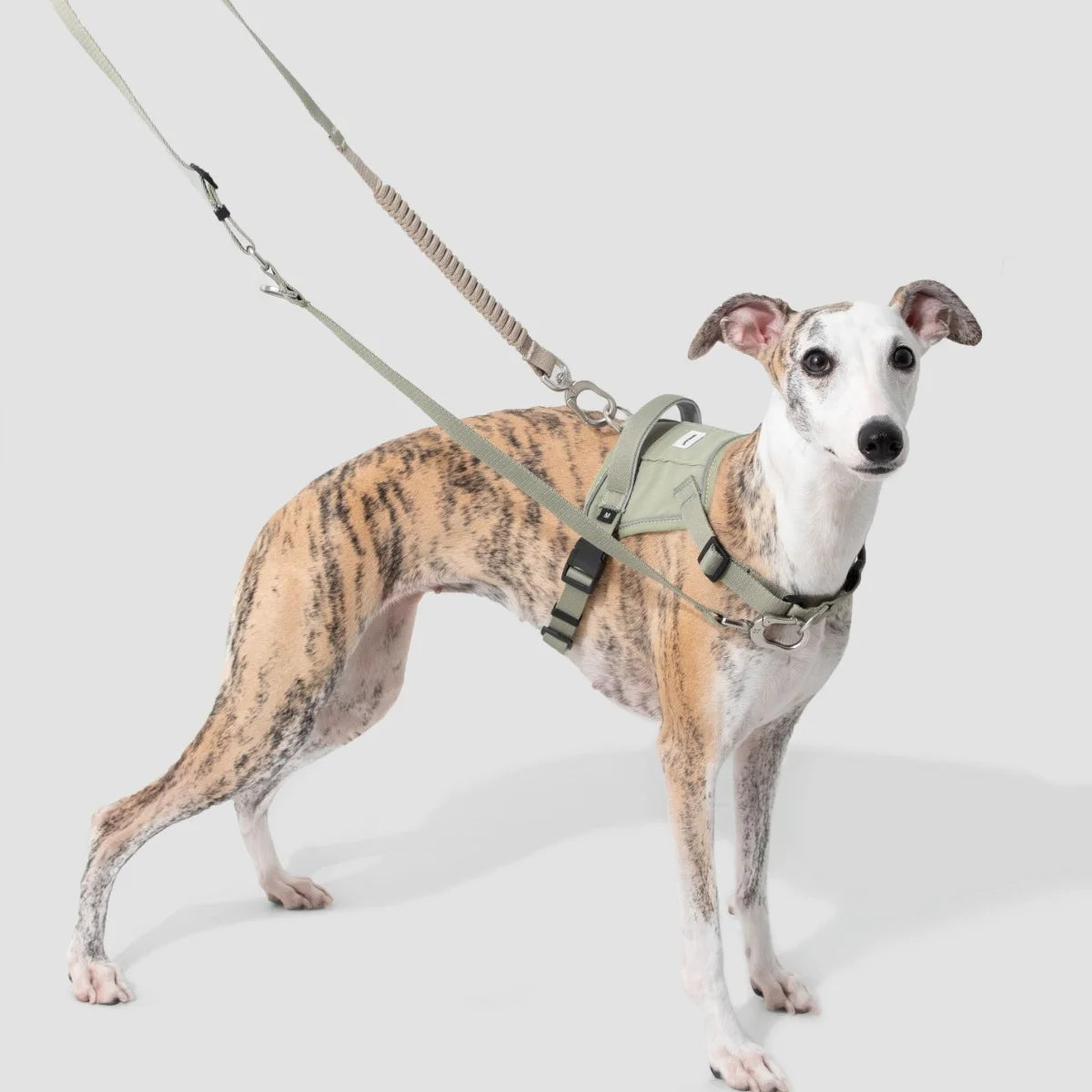 No-Pull Dog Chest Harness #5