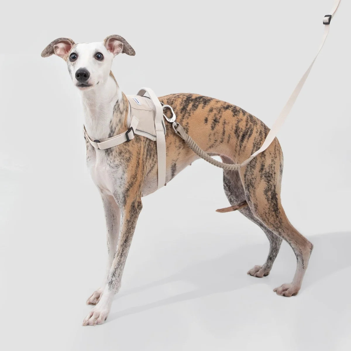 No-Pull Dog Chest Harness #15