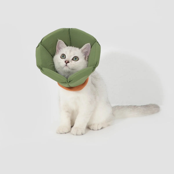 Soft Pet Recovery Cone Collar