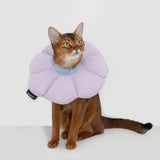 Cute Flower Soft Cat Cone Collar #10