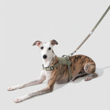 No-Pull Dog Chest Harness #4