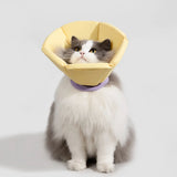 Soft Cat Recovery Cone Collar
