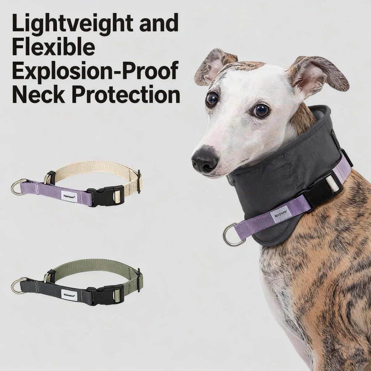 Quick-Release Martingale Dog Collar