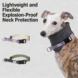 Quick-Release Martingale Dog Collar