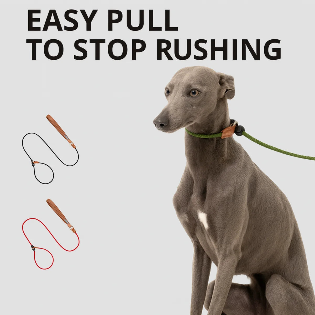 Dog Training Slip Lead Leash