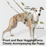 No-Pull Dog Chest Harness #6