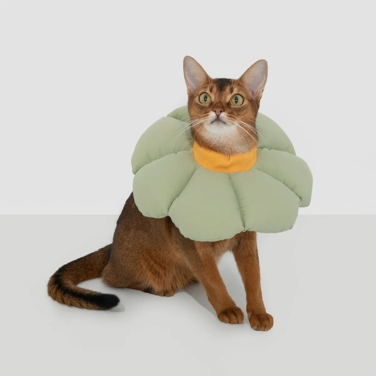 Cute Flower Soft Cat Cone Collar #6