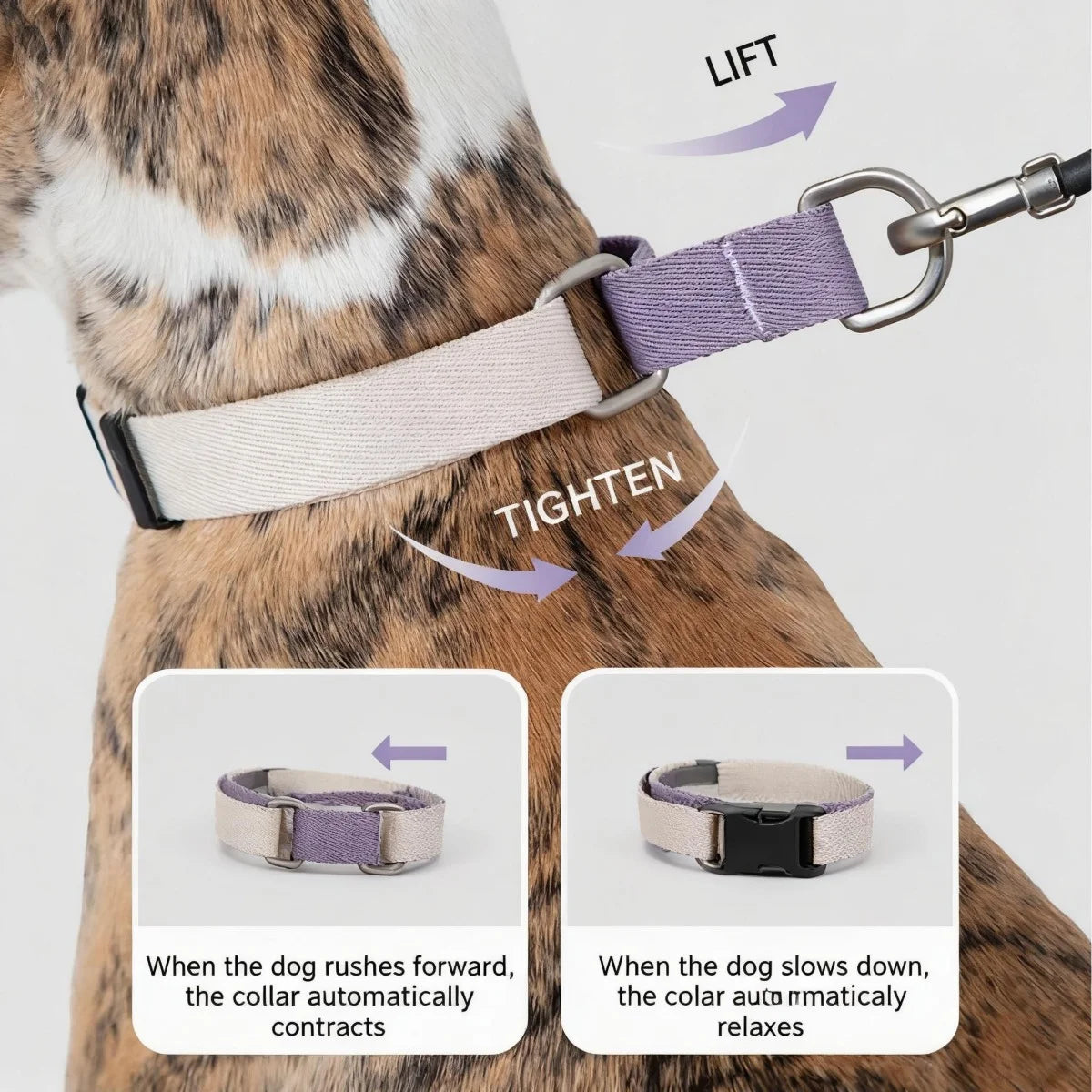 Quick-Release Martingale Dog Collar