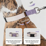 Quick-Release Martingale Dog Collar