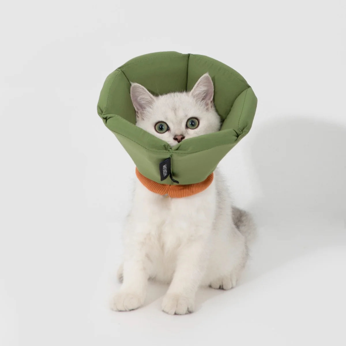 Soft Cat Recovery Cone Collar