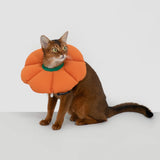 Cute Flower Soft Cat Cone Collar #1
