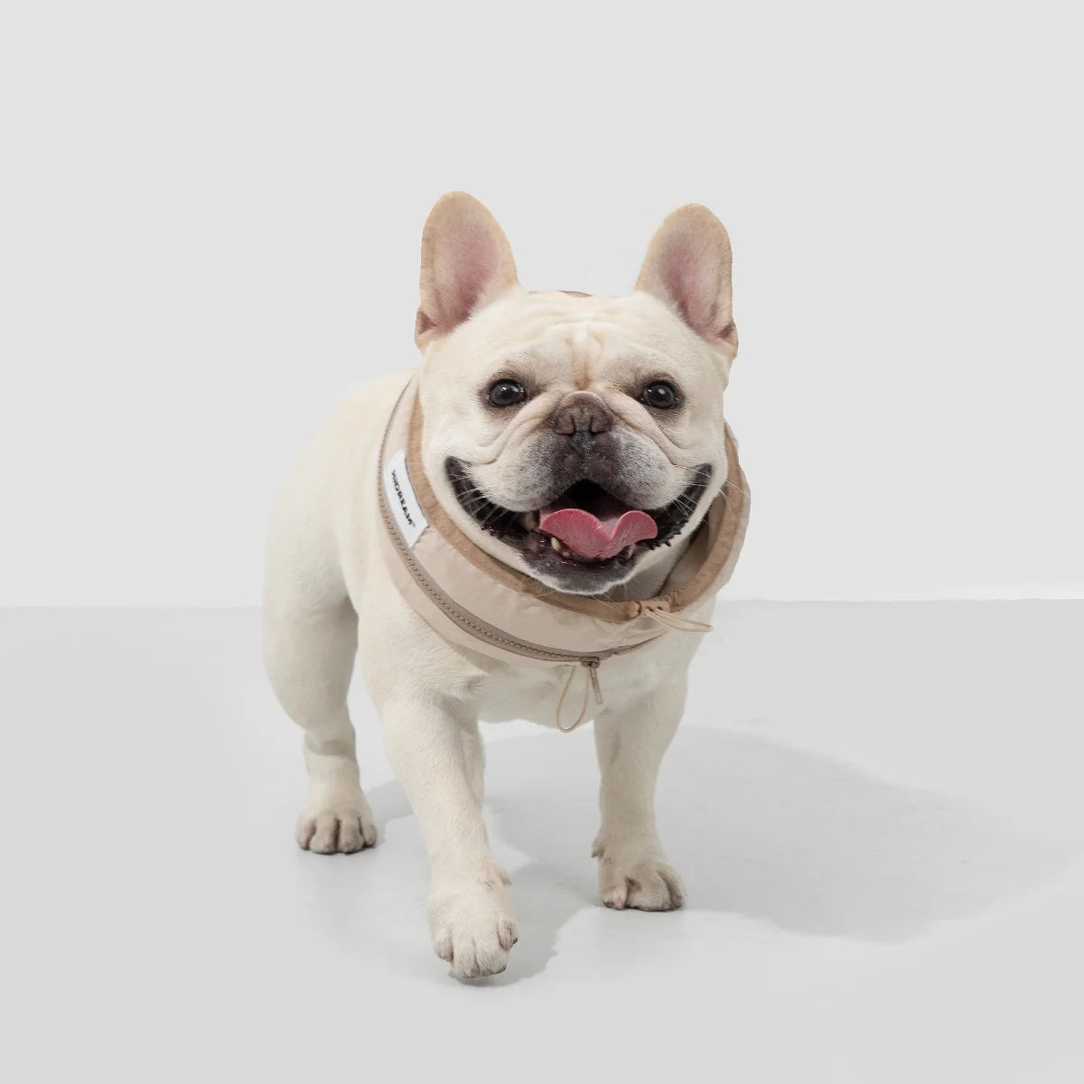 Padded Dog Cooling Collar #7