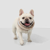 Padded Dog Cooling Collar #7