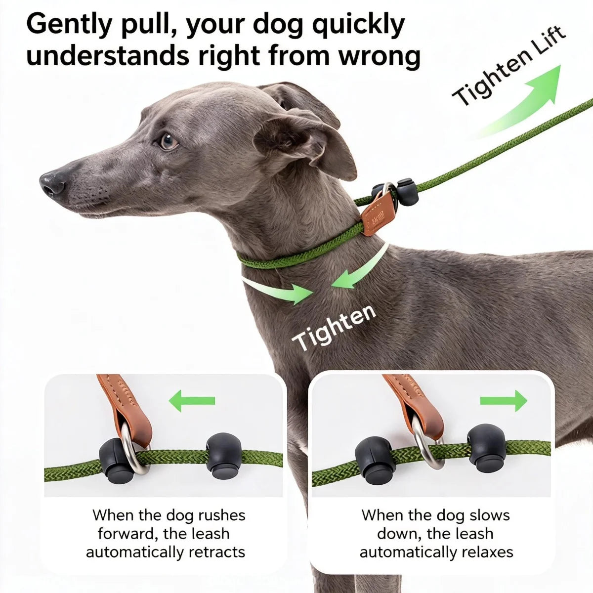 Dog Training Slip Lead Leash
