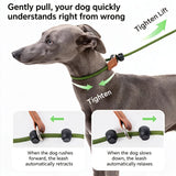 Dog Training Slip Lead Leash