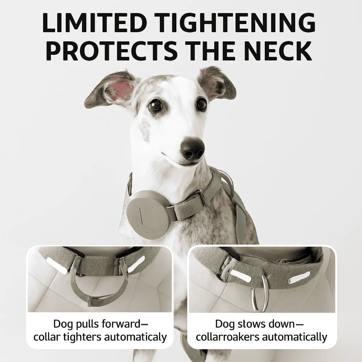 No-Pull Dog Chest Harness #7