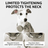 No-Pull Dog Chest Harness #7