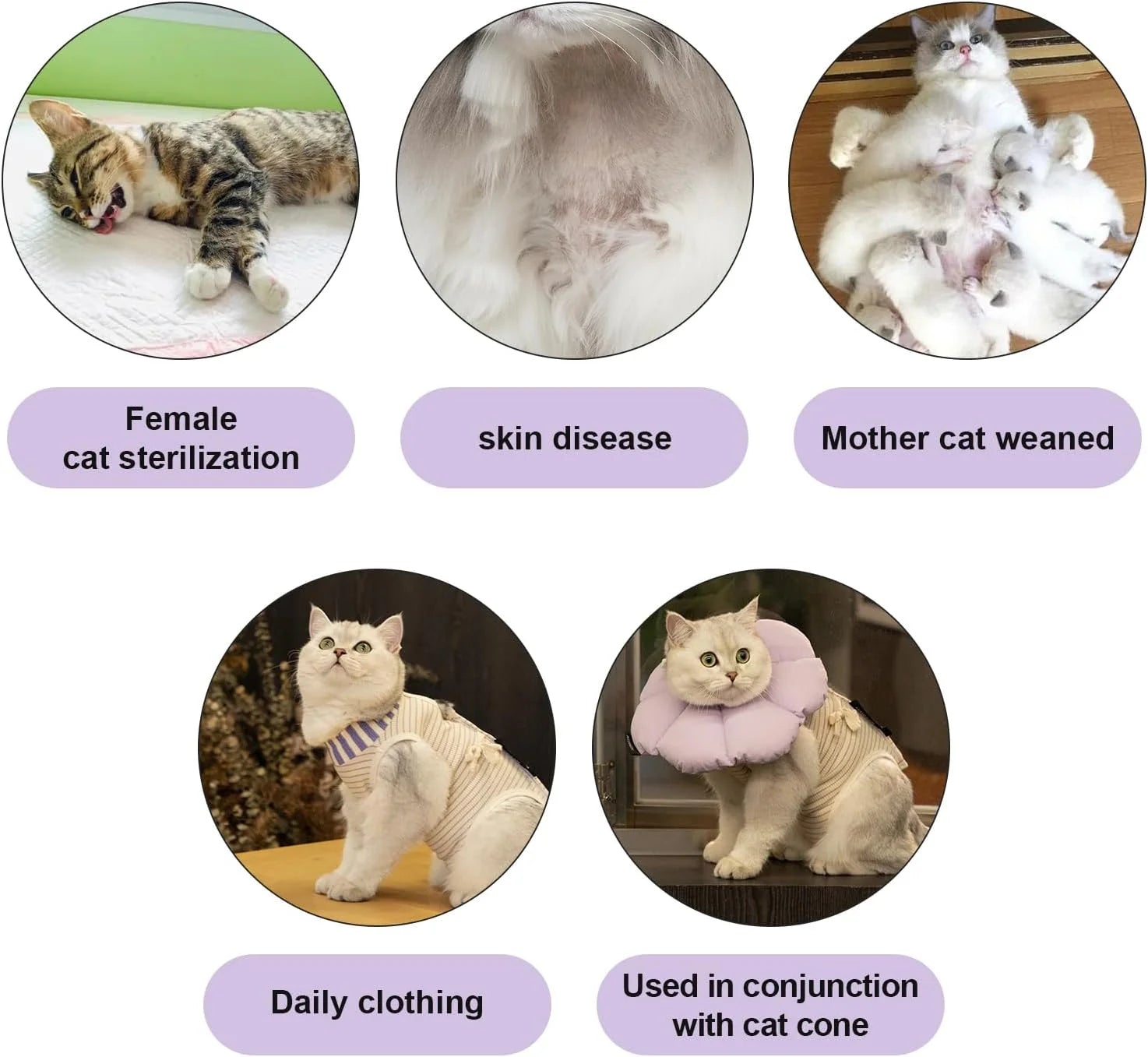 Cat Clothes Recovery Suit #9