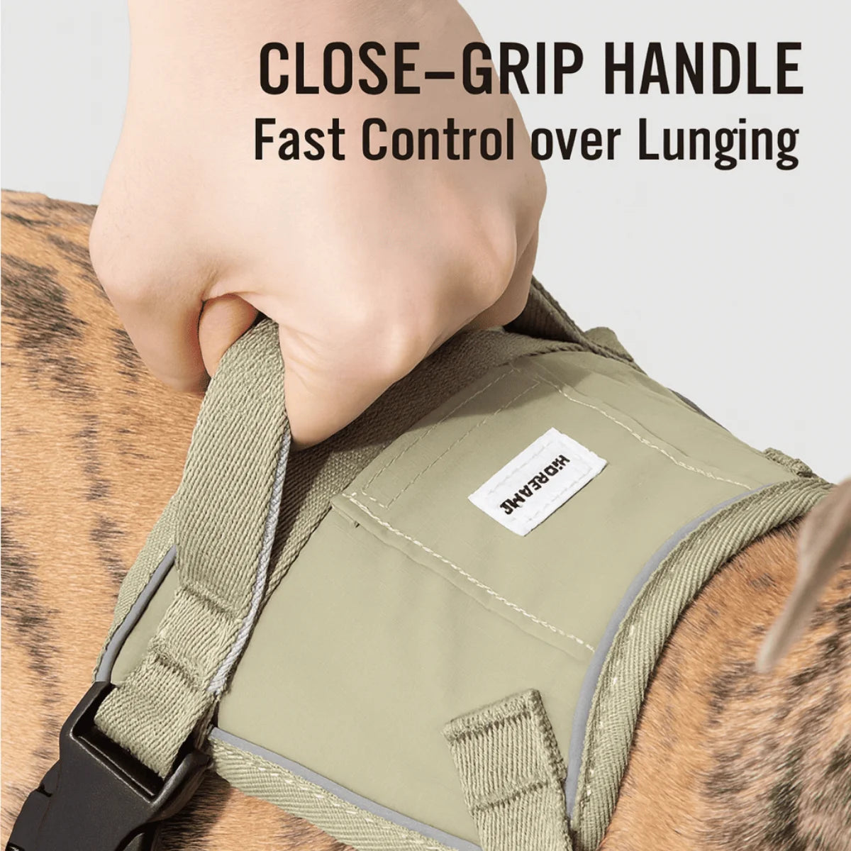 No-Pull Dog Chest Harness #8