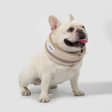 Padded Dog Cooling Collar #10