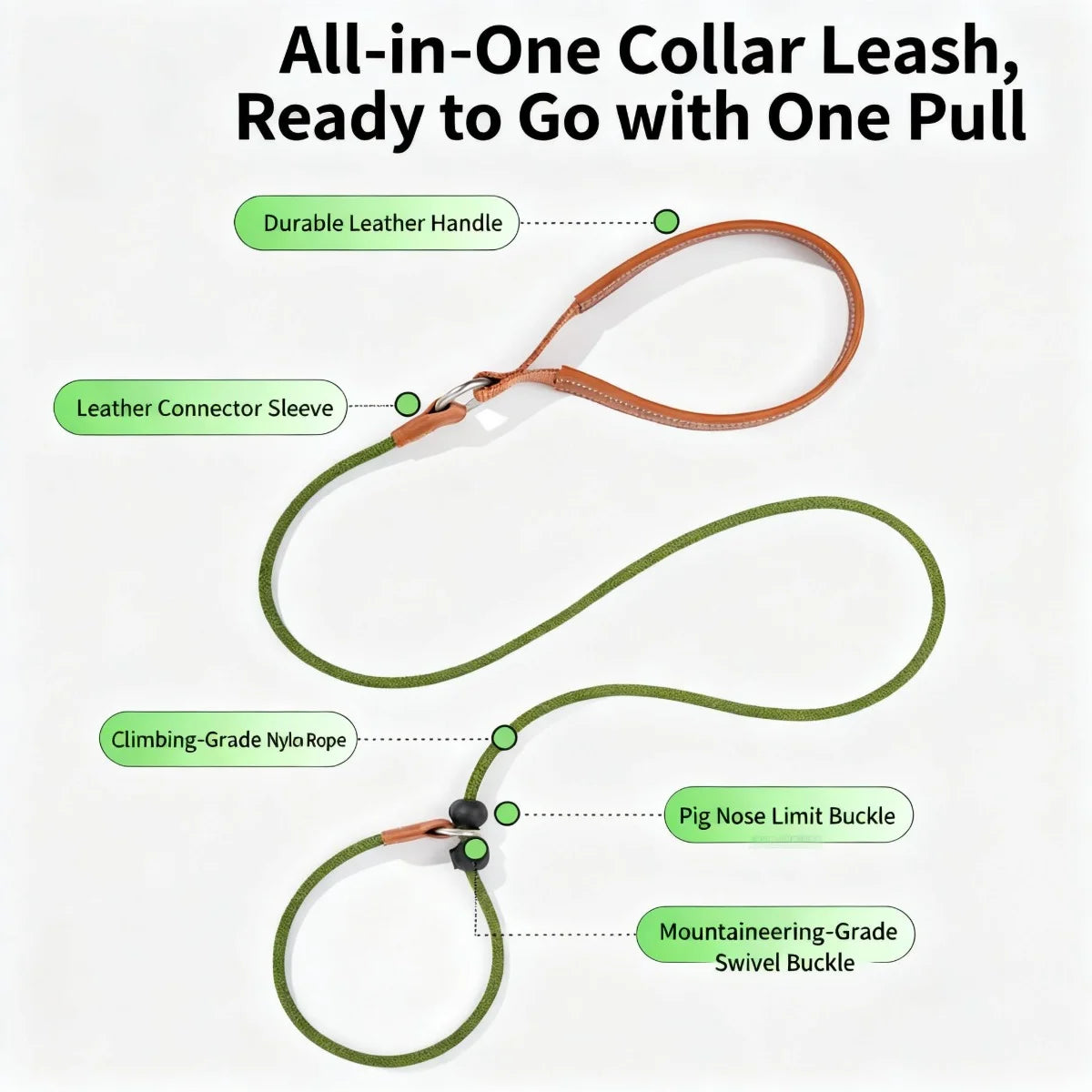 Dog Training Slip Lead Leash
