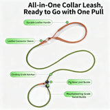 Dog Training Slip Lead Leash