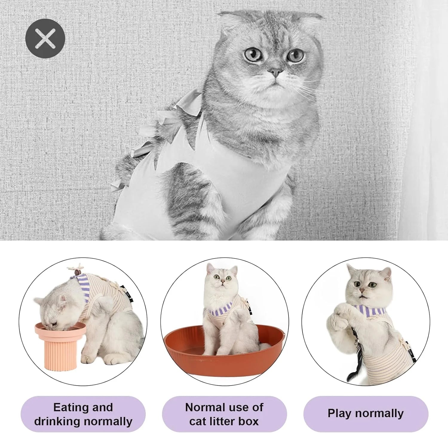 Cat Clothes Recovery Suit #10