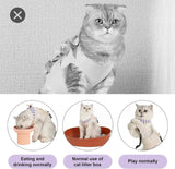 Cat Clothes Recovery Suit #10