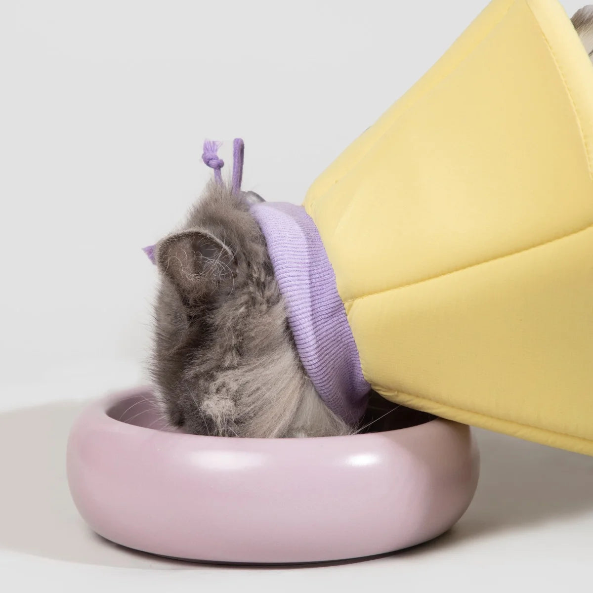 Soft Cat Recovery Cone Collar