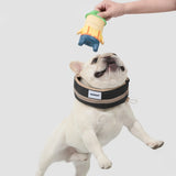 Padded Dog Cooling Collar #12