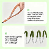 Dog Training Slip Lead Leash