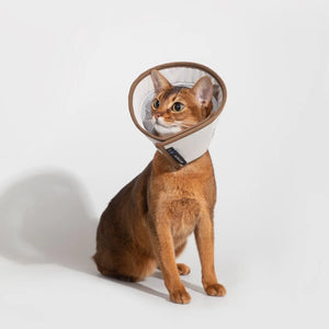 Breathable Cat Recovery Cone Collar #1
