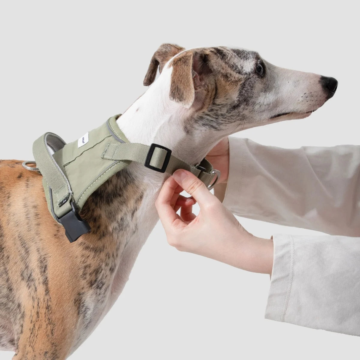 No-Pull Dog Chest Harness #3