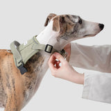 No-Pull Dog Chest Harness #3