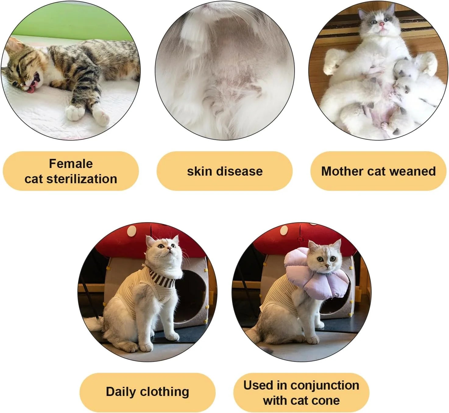 Cat Clothes Recovery Suit #5