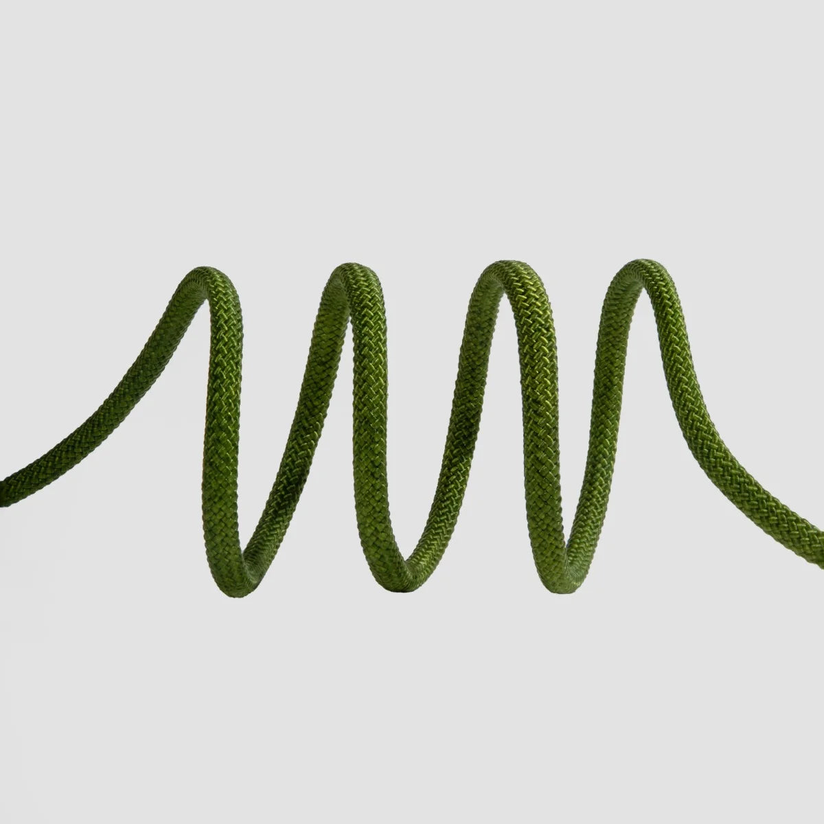 Dog Training Slip Lead Leash