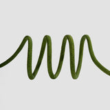 Dog Training Slip Lead Leash